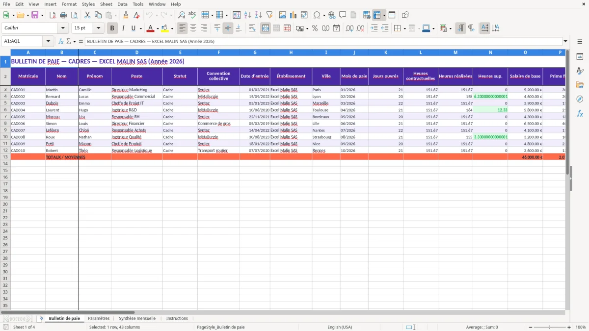 Capture 1 : feuille Bulletin de paie - Modèle Excel fiche de paie cadre excel